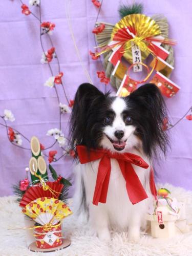 20230127ととくん